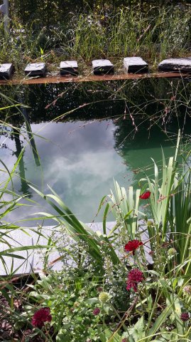 Landesgartenschau 2017